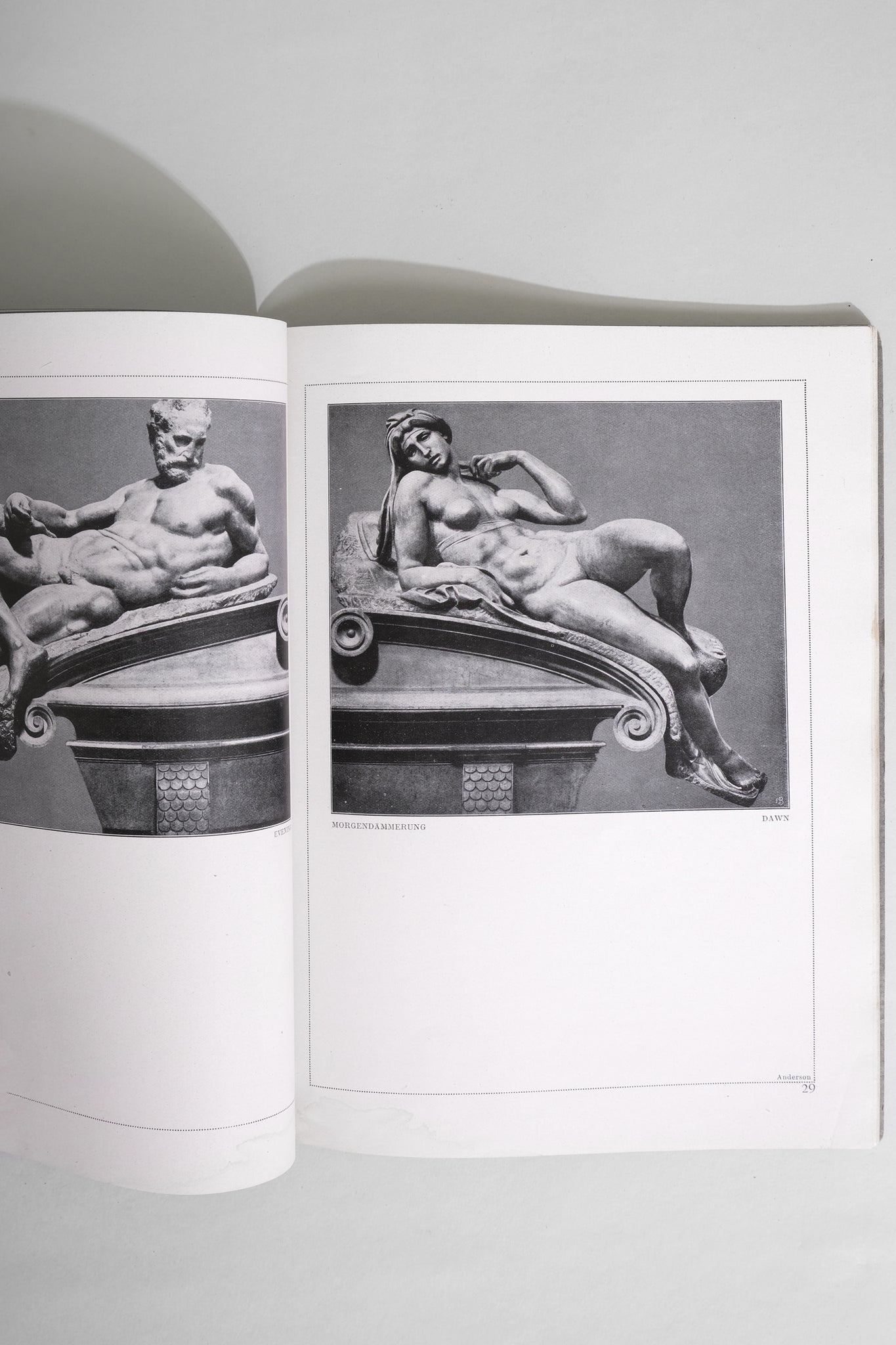 Michelangelo Book