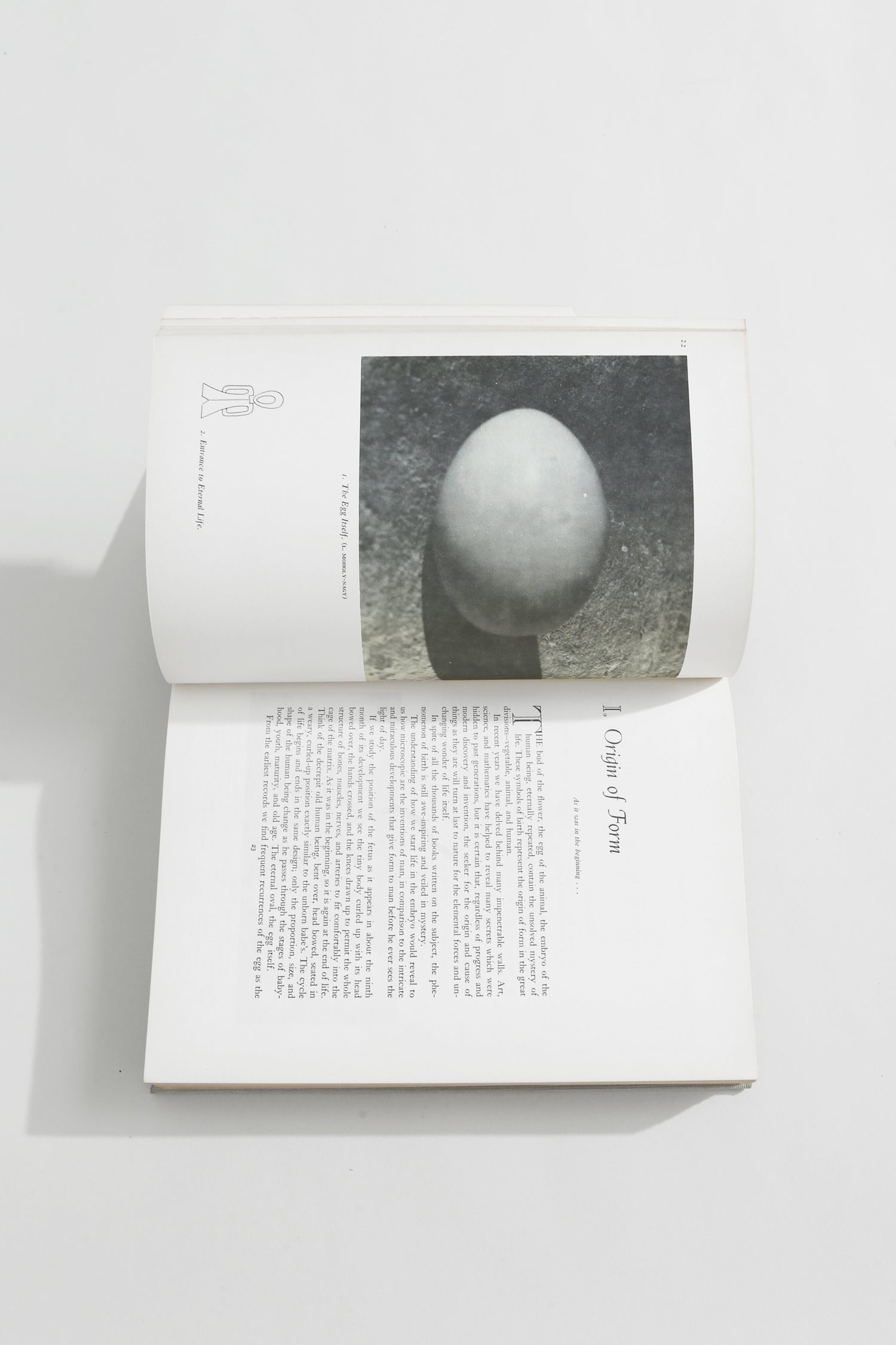 Sculpture Inside and Out Book