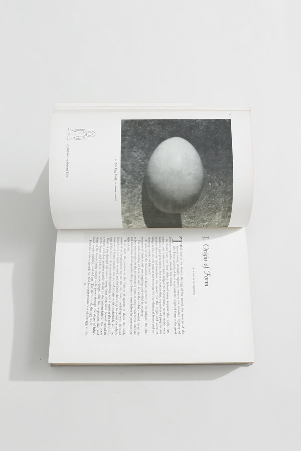 Sculpture Inside and Out Book