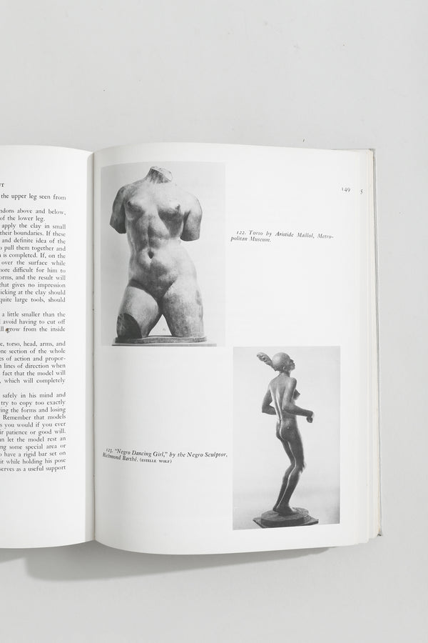 Sculpture Inside and Out Book