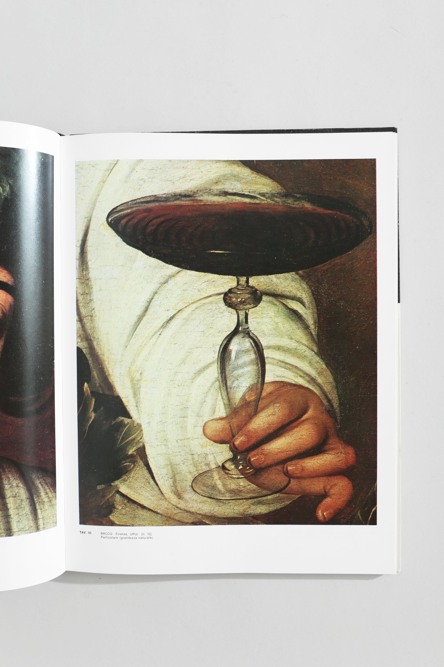 Caravaggio Book