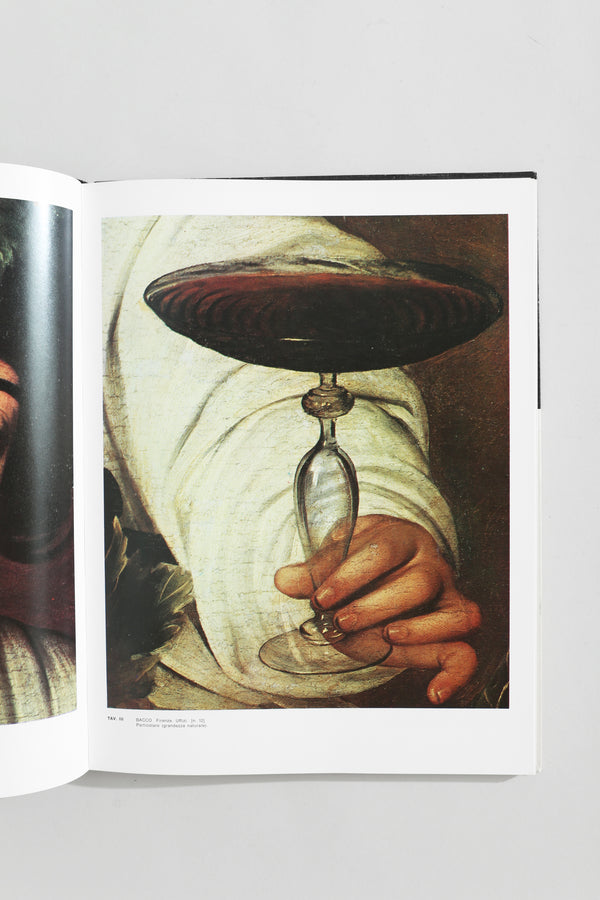 Caravaggio Book