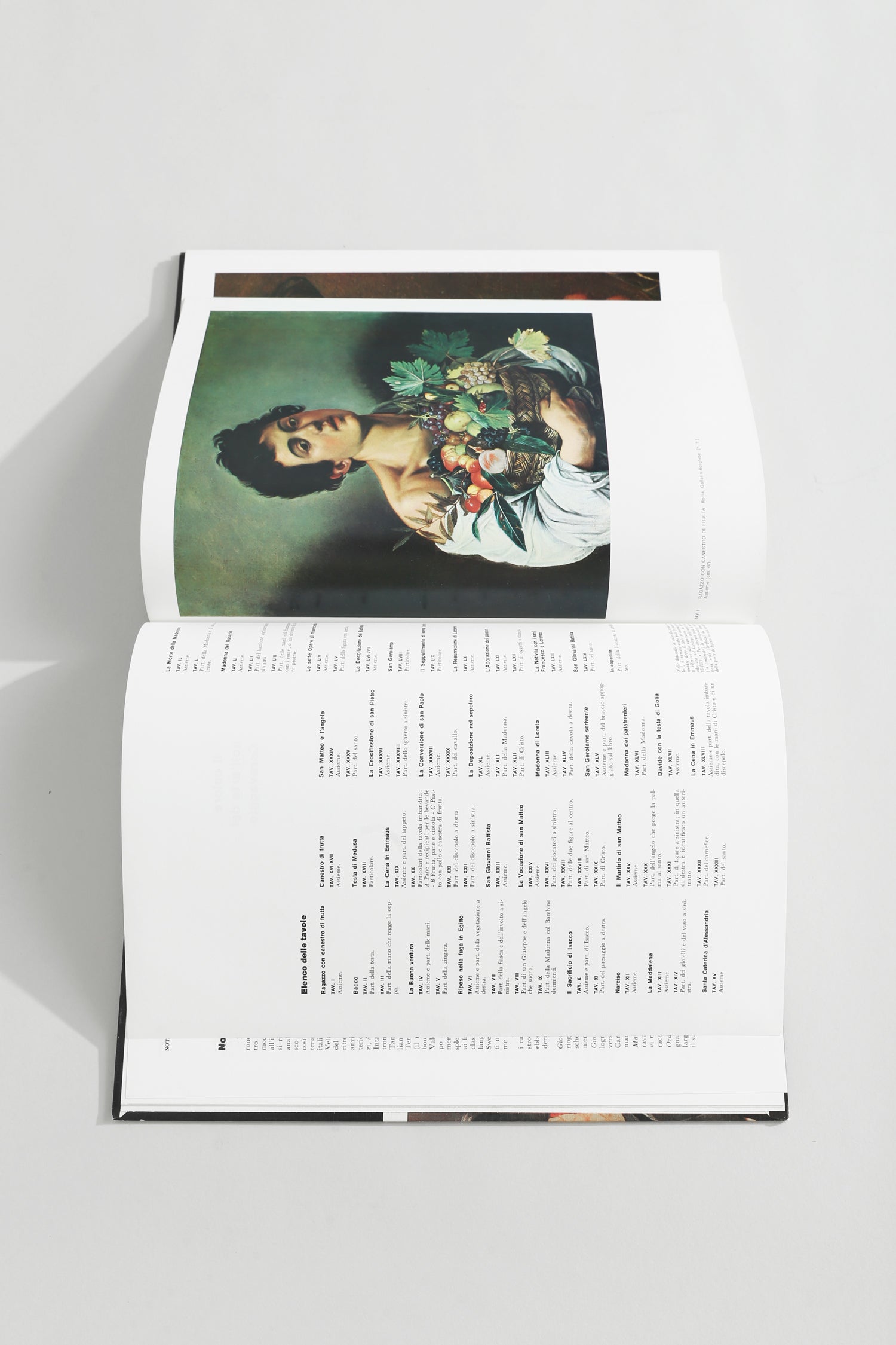 Caravaggio Book