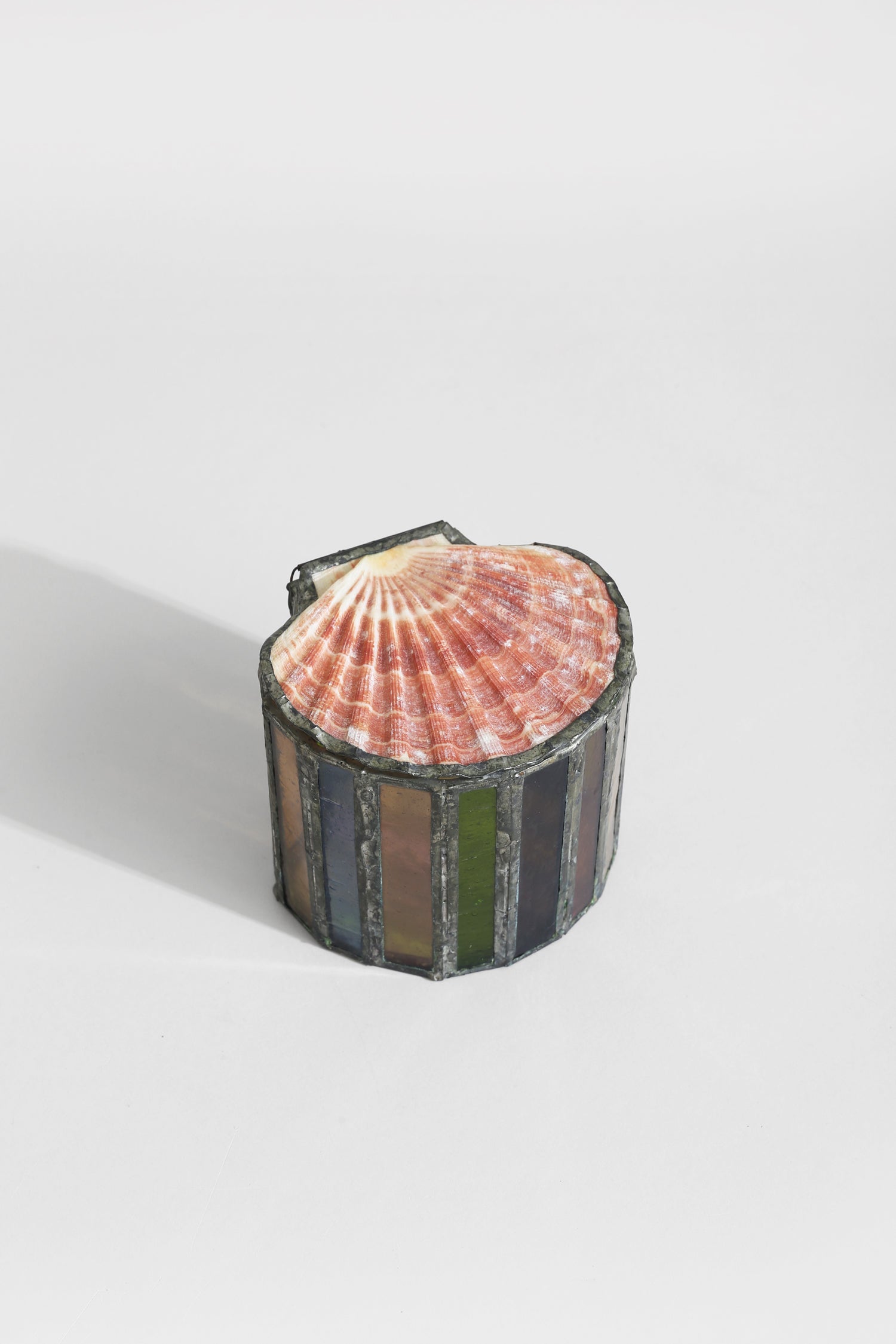 Scallop Shell Jewelry Box
