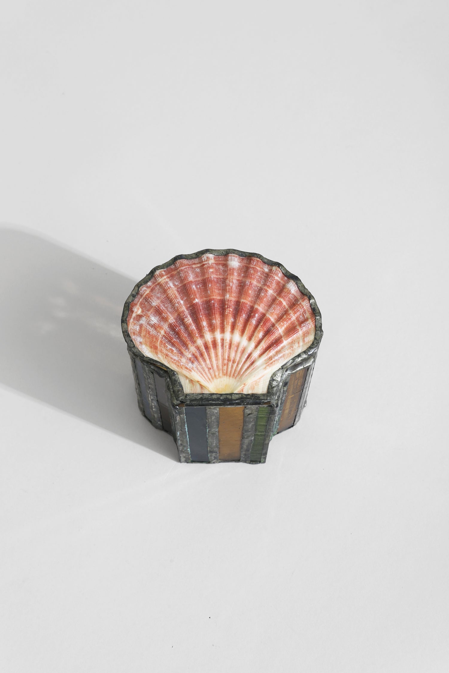 Scallop Shell Jewelry Box