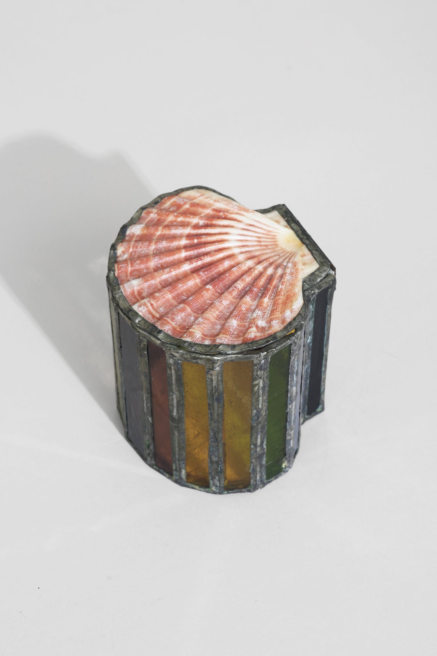 Scallop Shell Jewelry Box