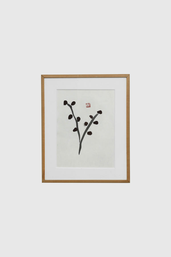 Botanical Framed Print