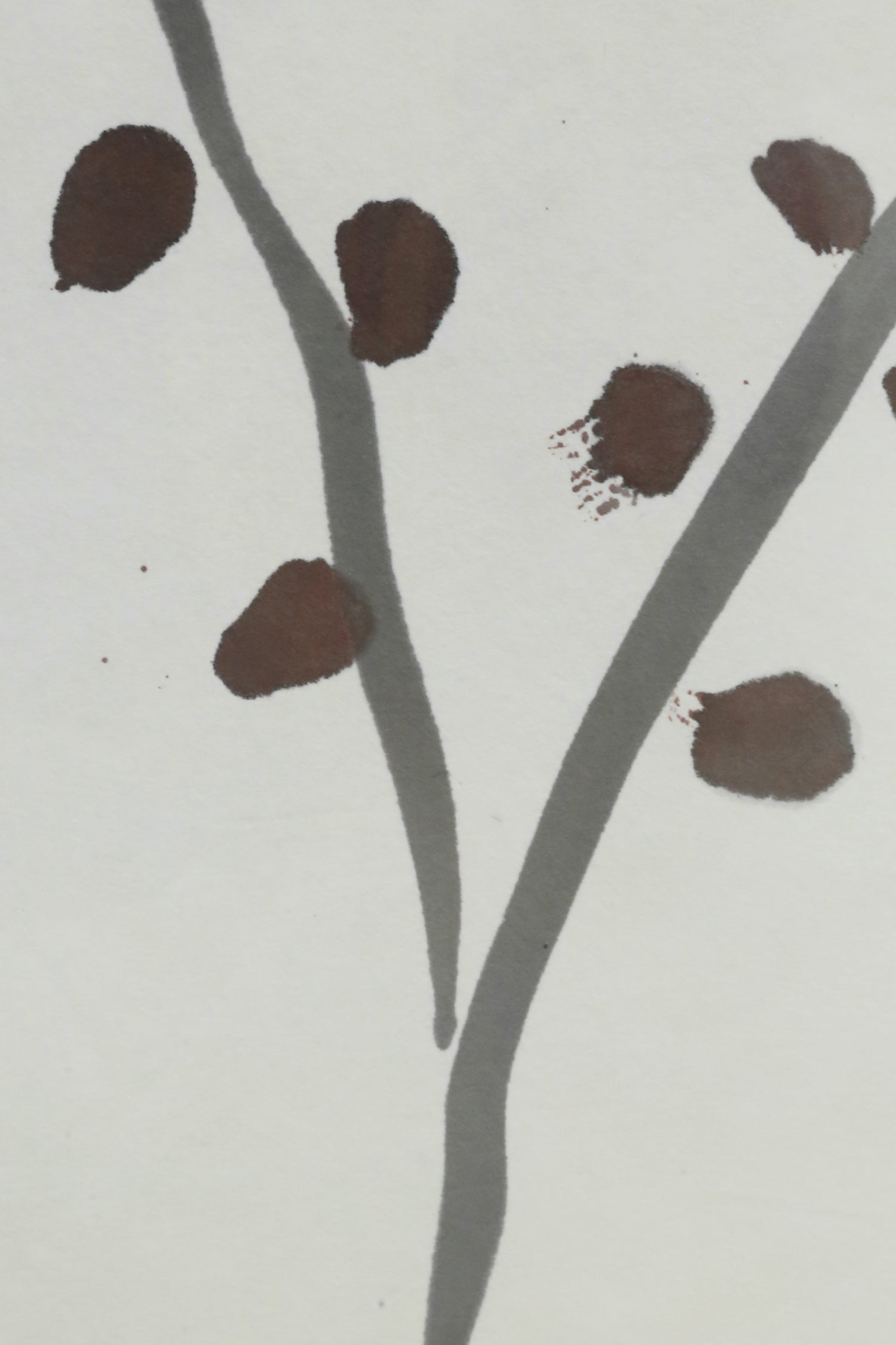 Botanical Framed Print
