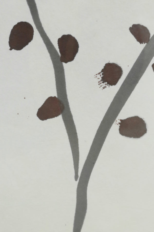 Botanical Framed Print