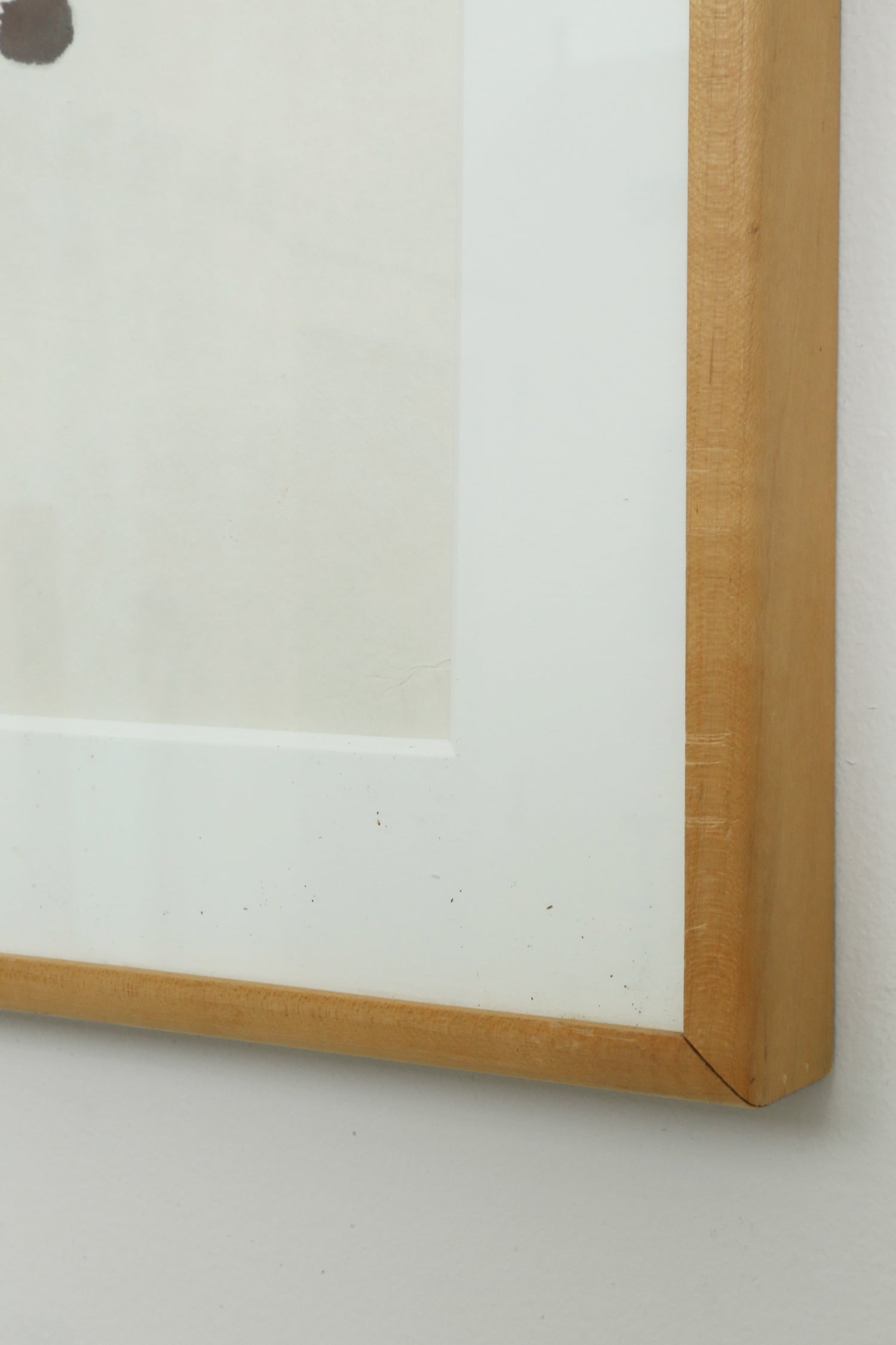 Botanical Framed Print