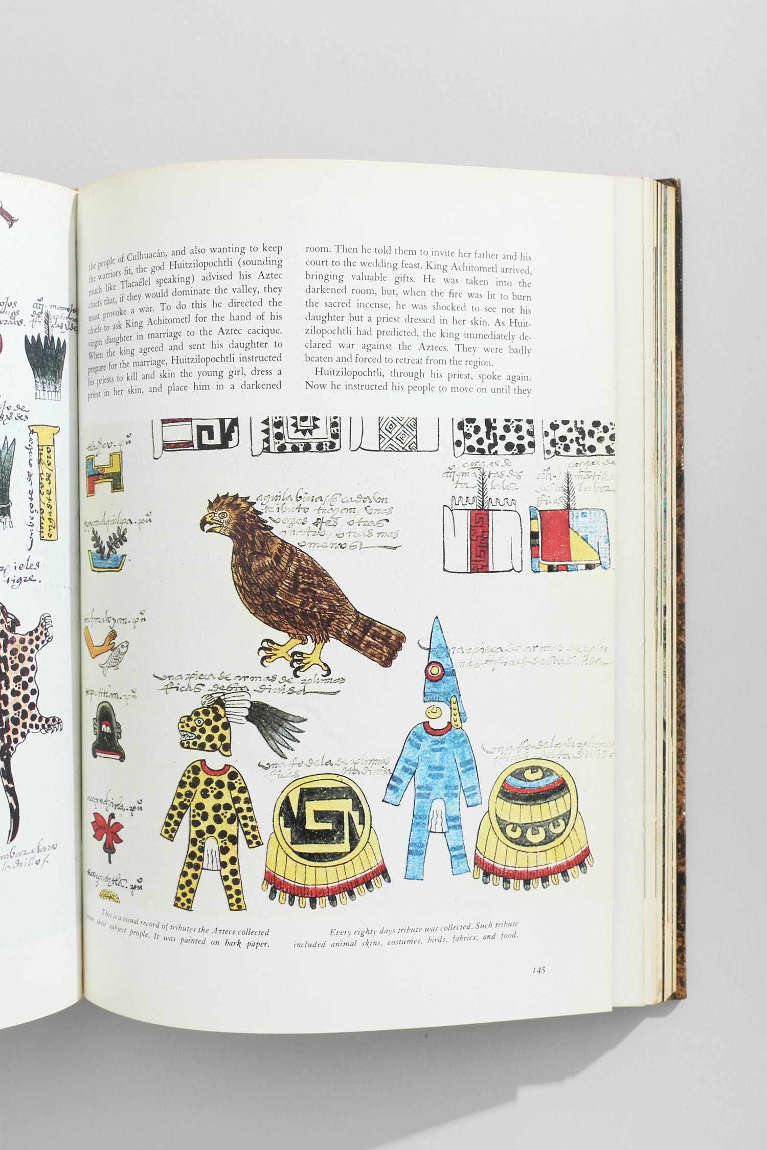 Mexico: A History in Art Book