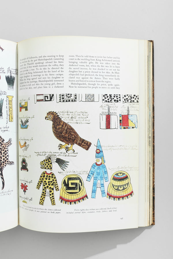 Mexico: A History in Art Book