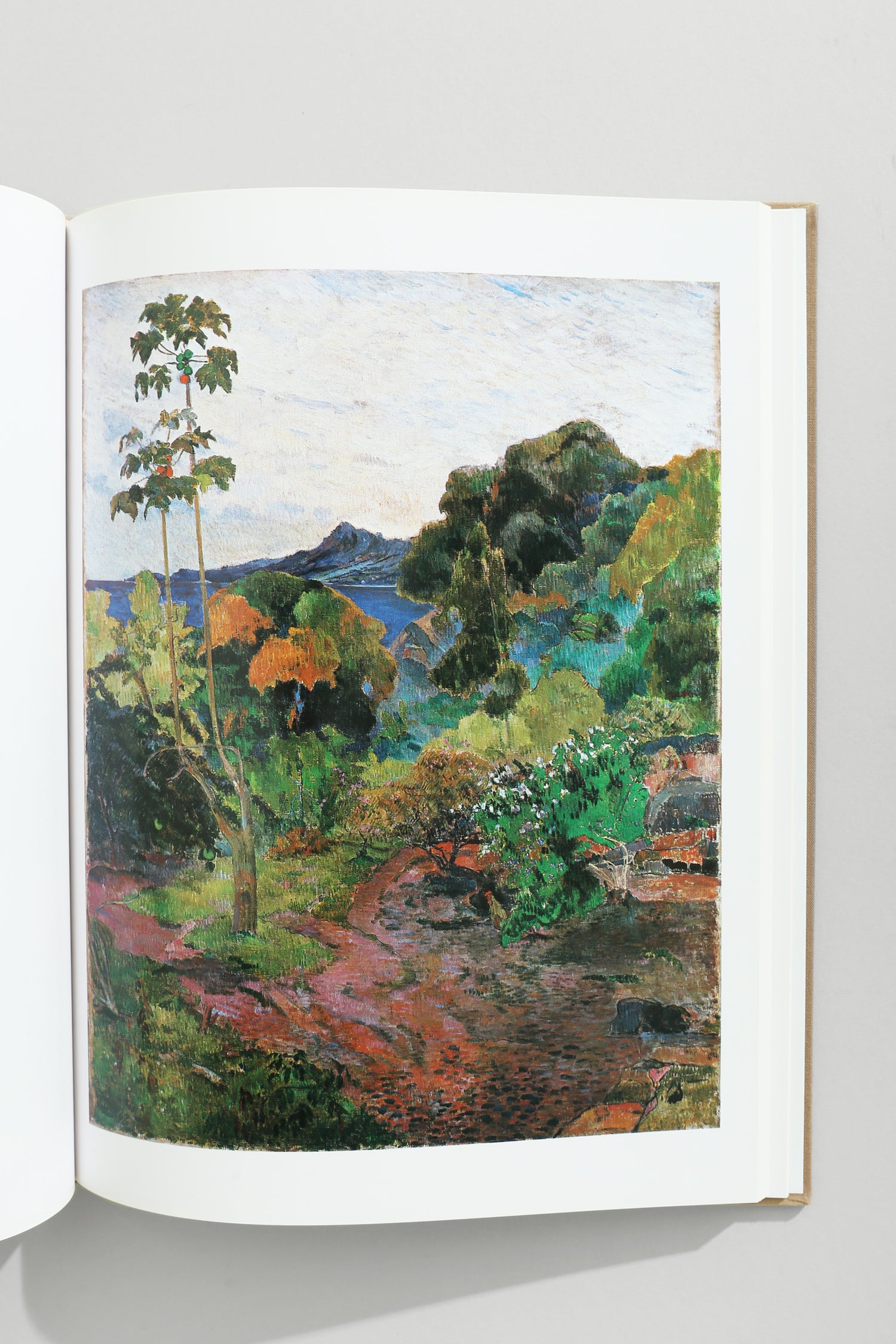 Gauguin Book, 1983