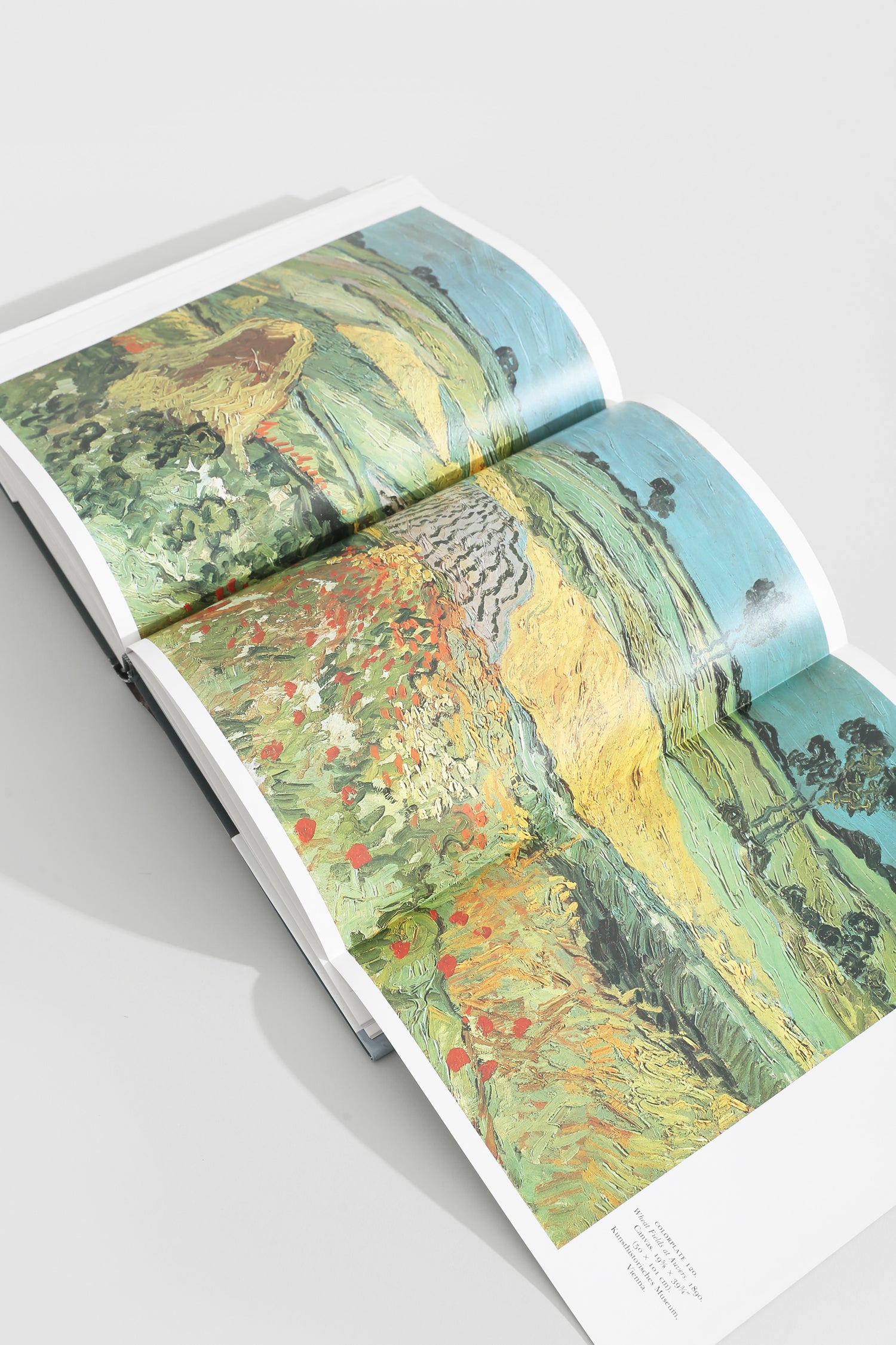 Van Gogh, A Retrospective Book