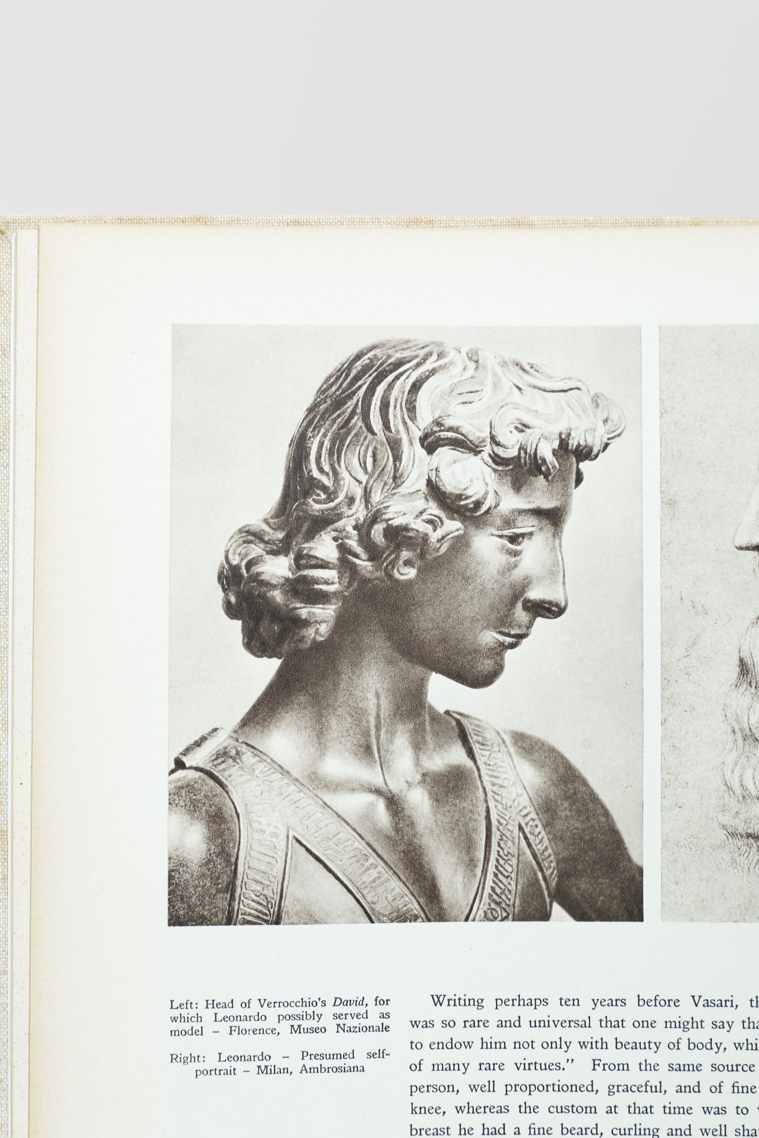 Leonardo da Vinci Book