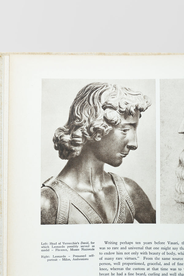 Leonardo da Vinci Book