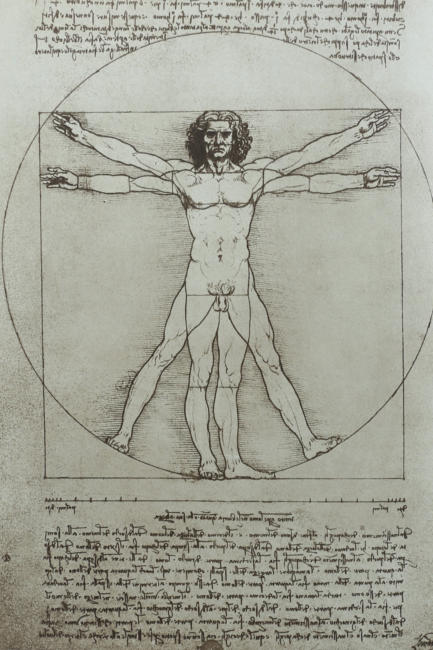 Leonardo da Vinci Book