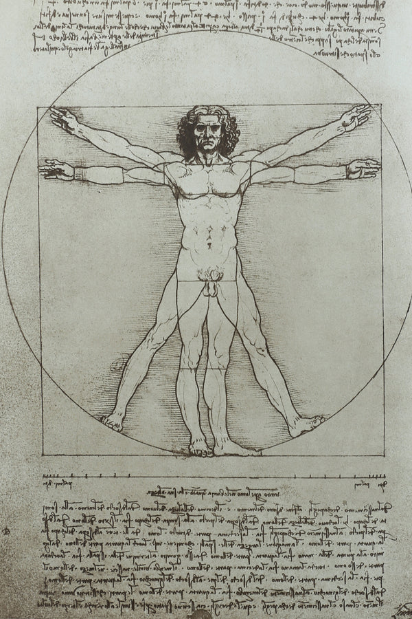 Leonardo da Vinci Book