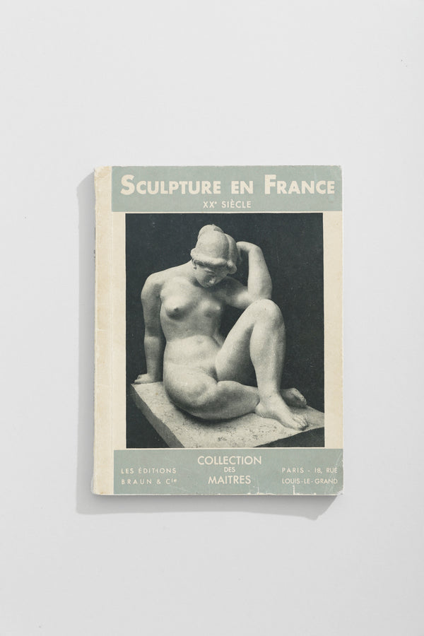 Sculpture En France Book