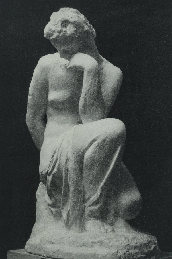 Sculpture En France Book