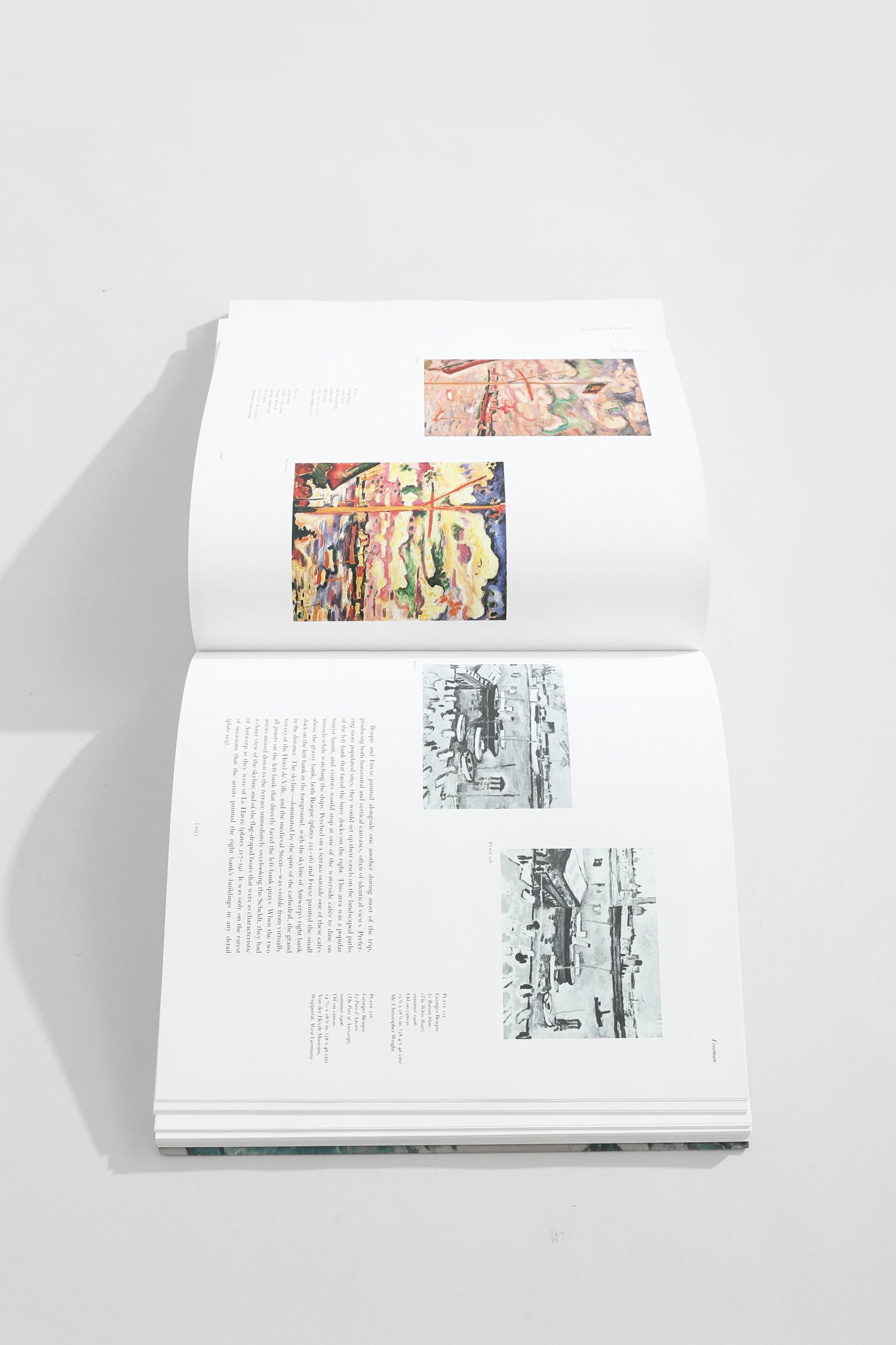 Fauve Landscape Book