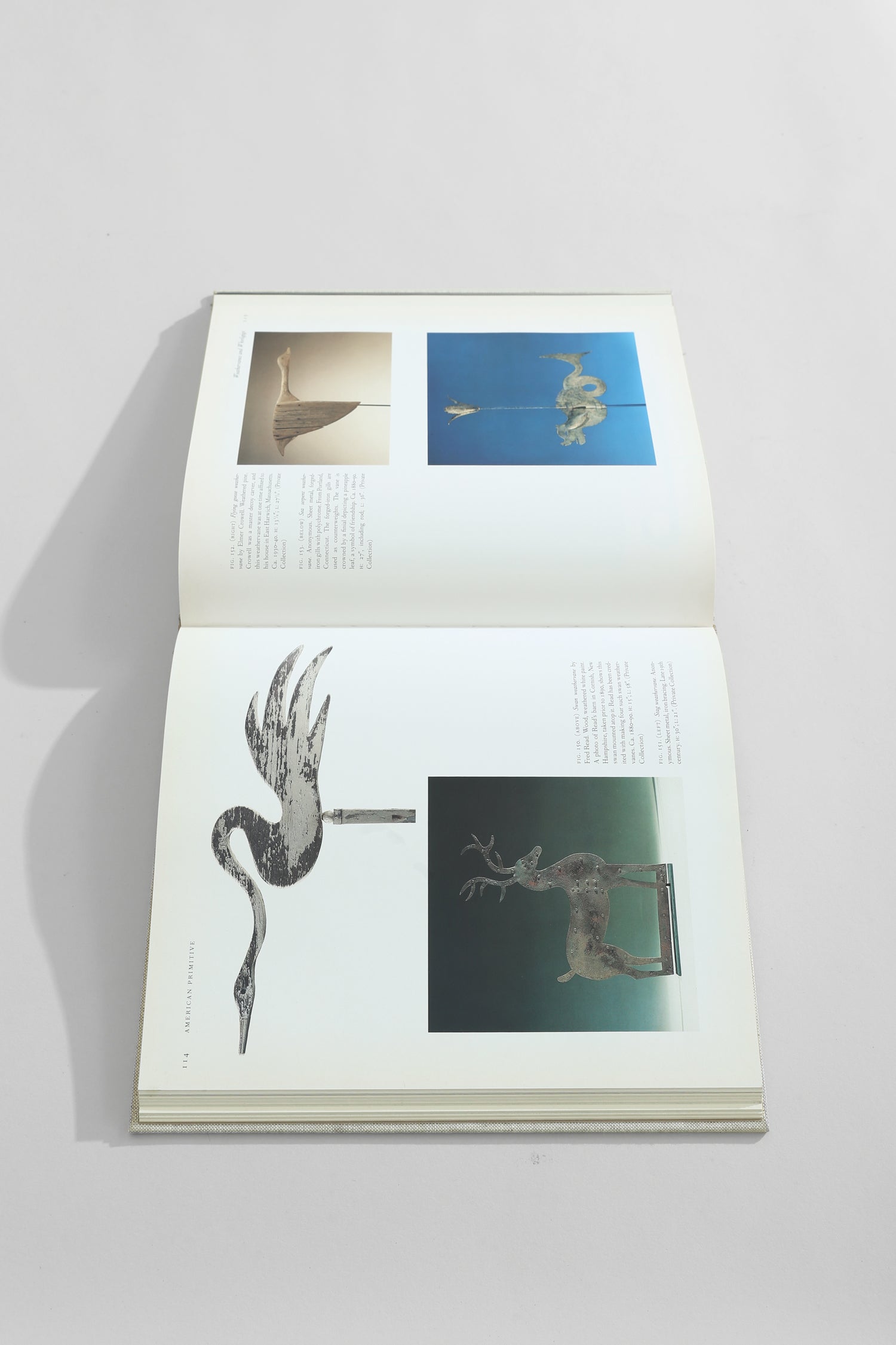 American Primitive Book
