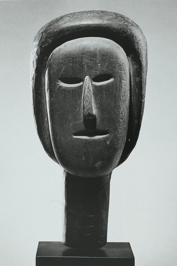 American Primitive Book