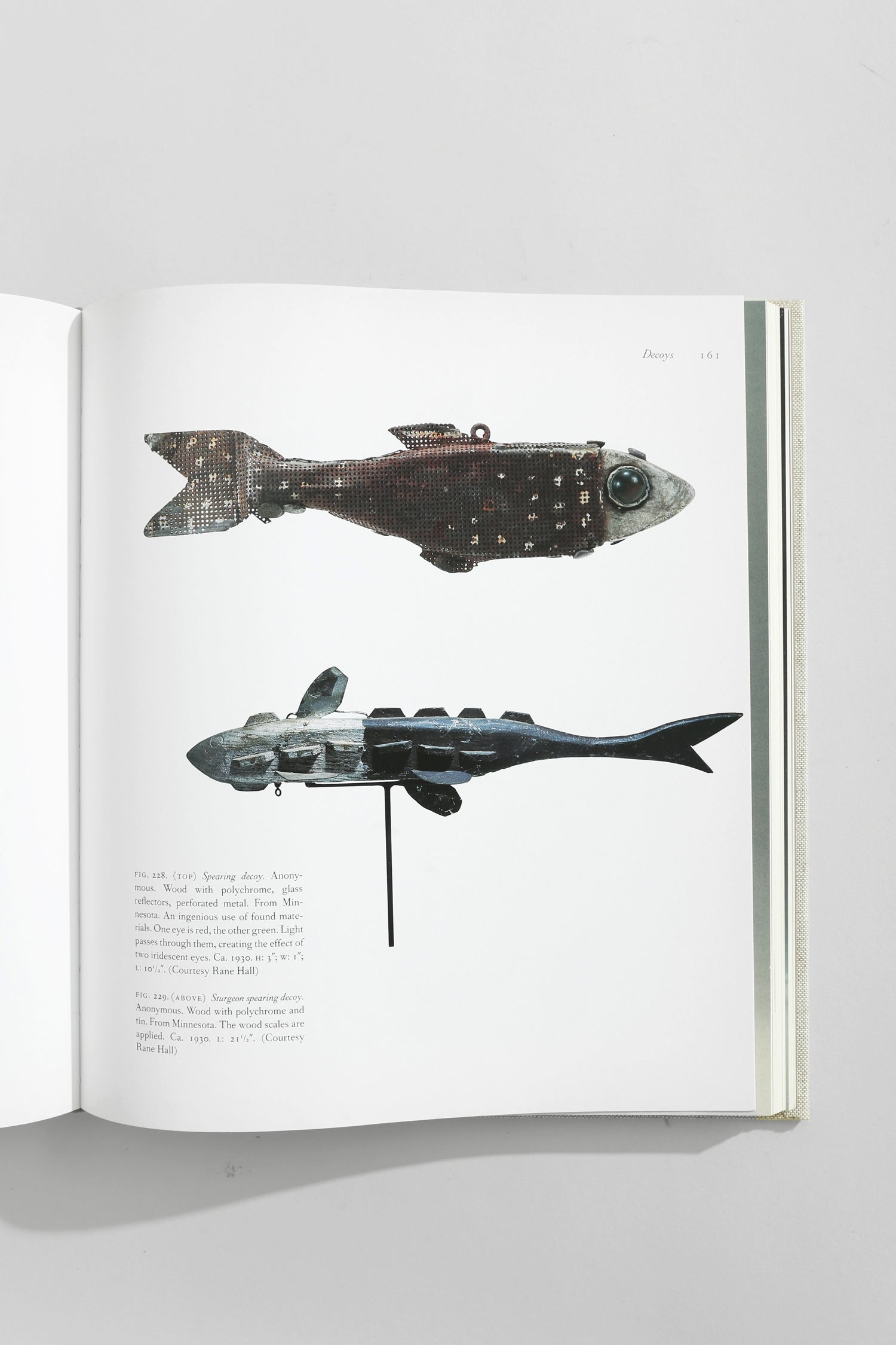 American Primitive Book