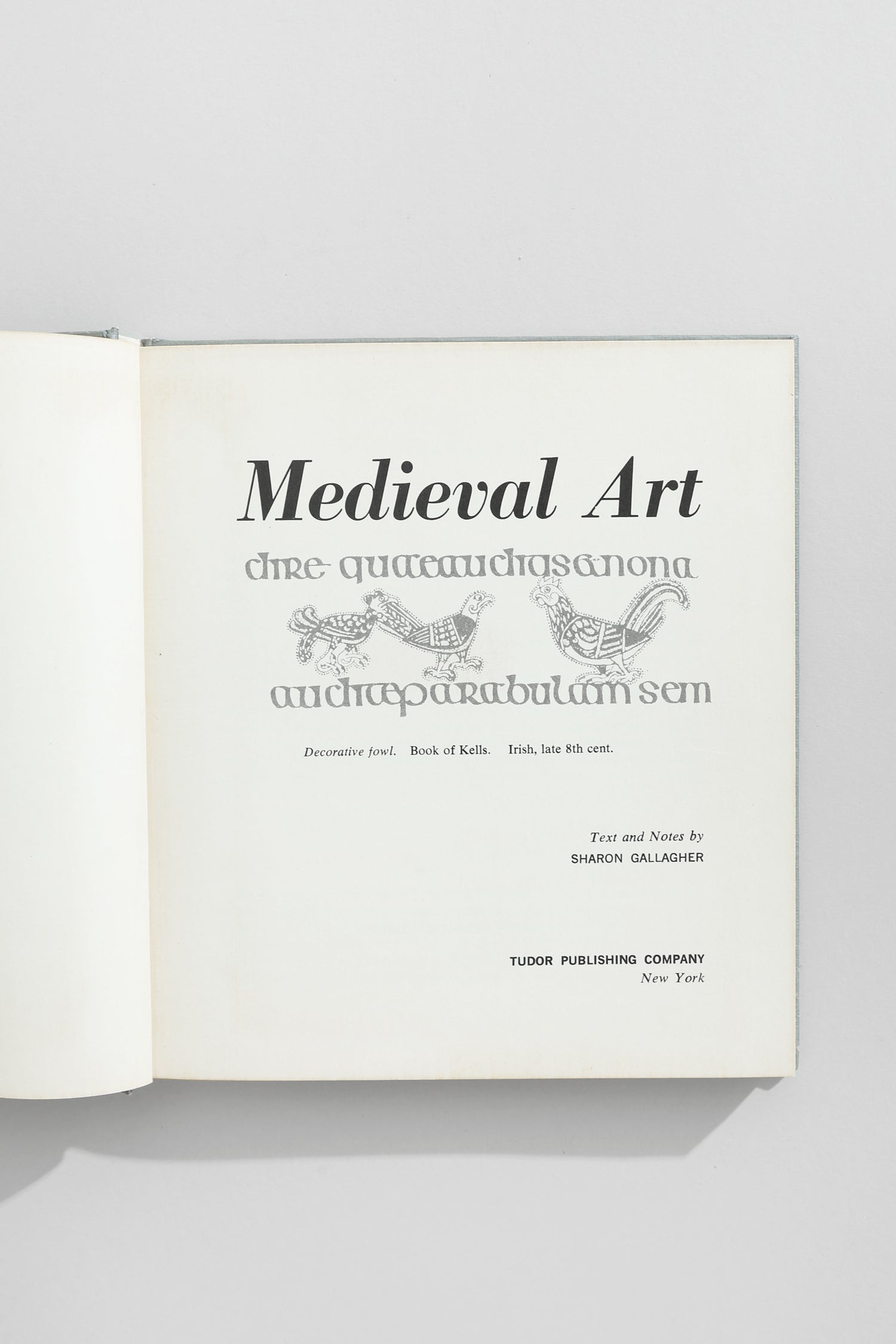 Medieval Art Book