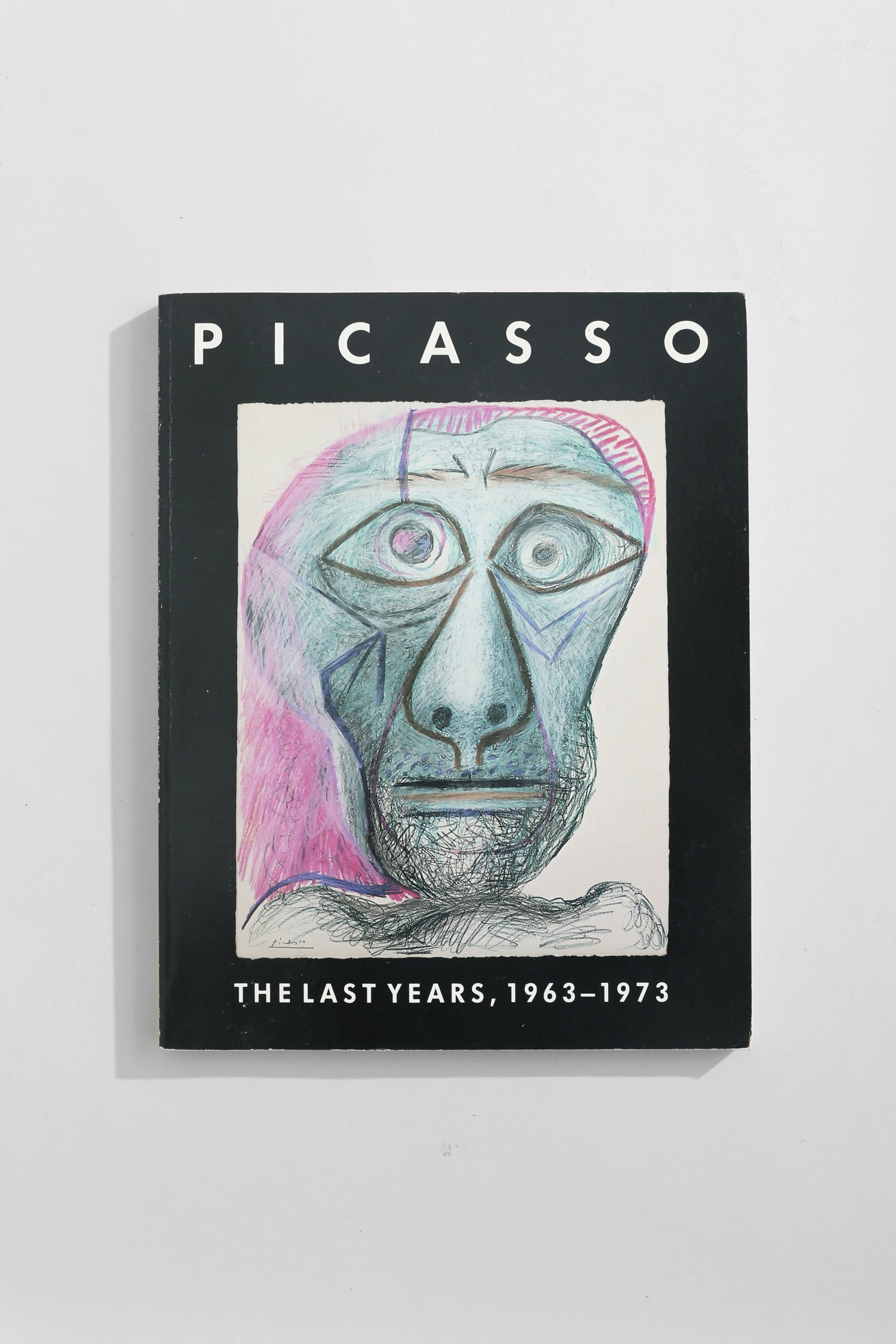 Picasso, The Last Years Book