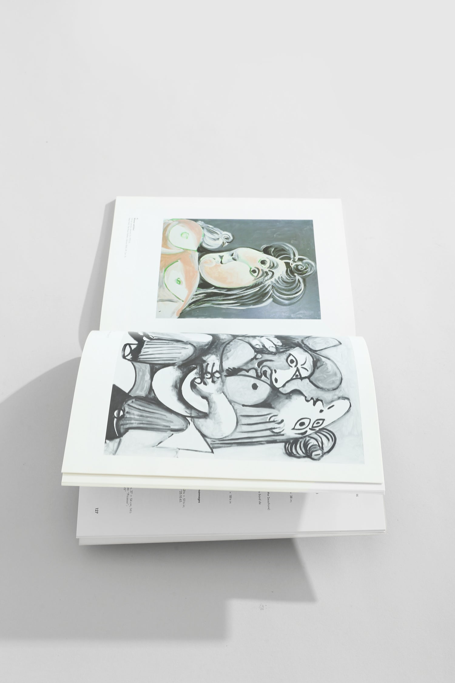 Picasso, The Last Years Book