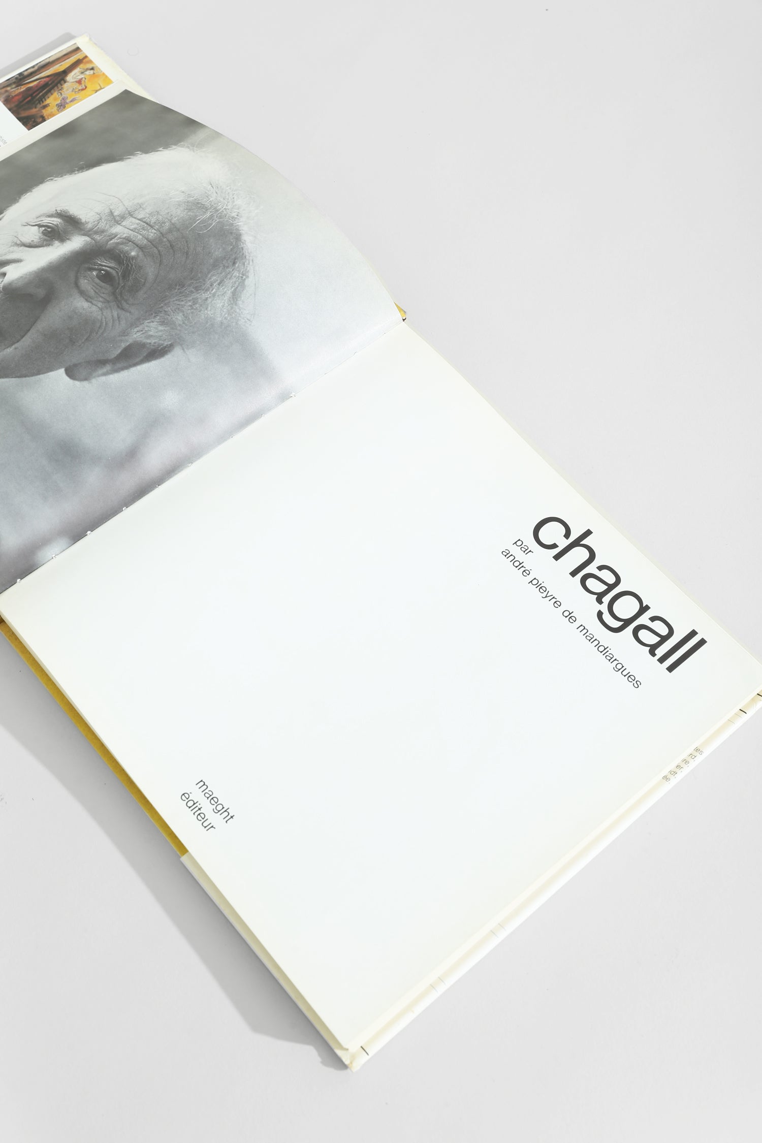 Chagall Book