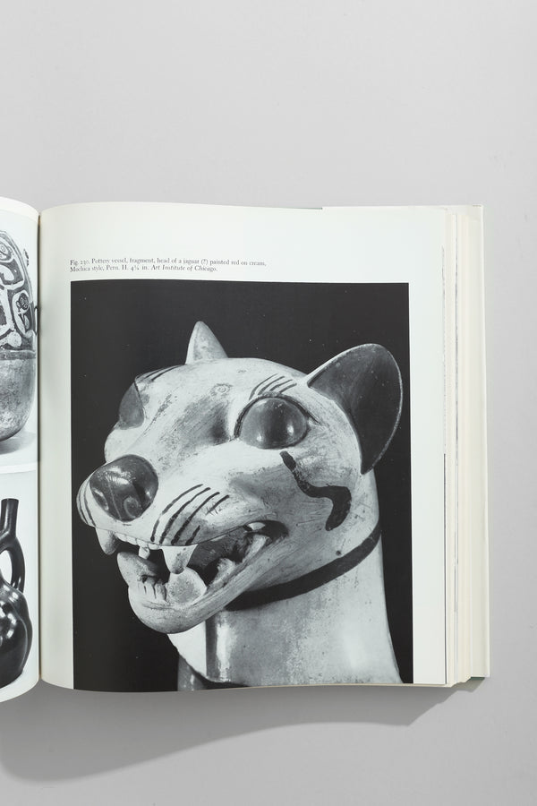 Primitive Art Book