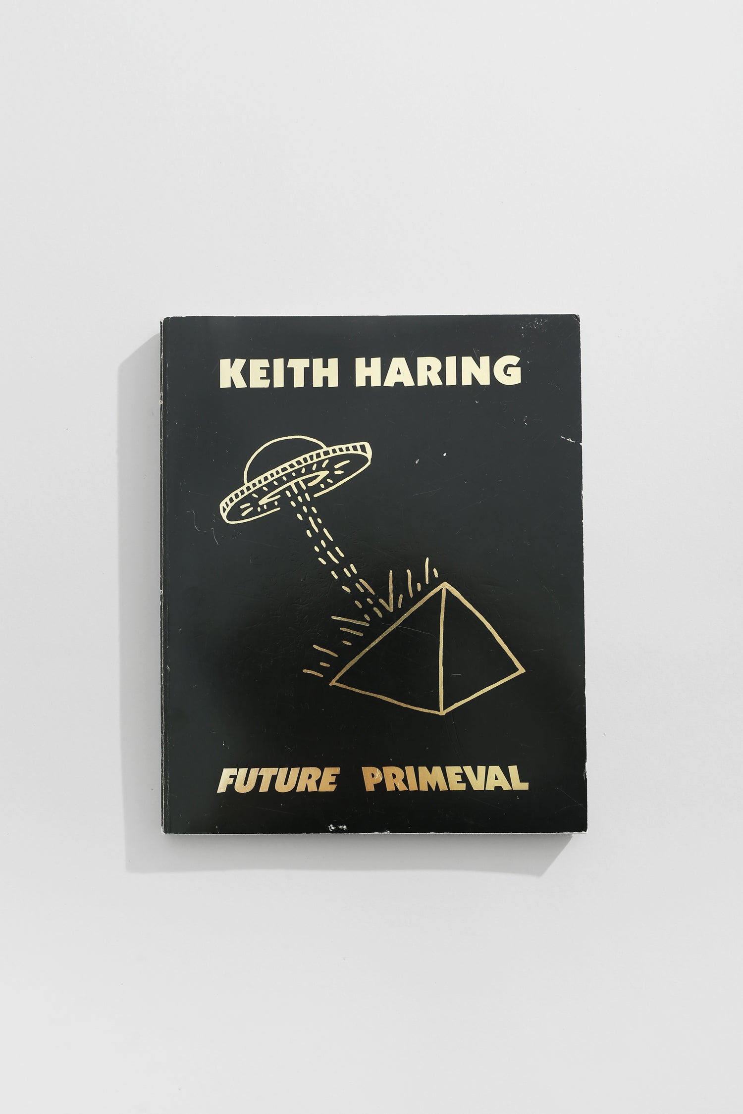 Keith Haring, Future Primeval Book