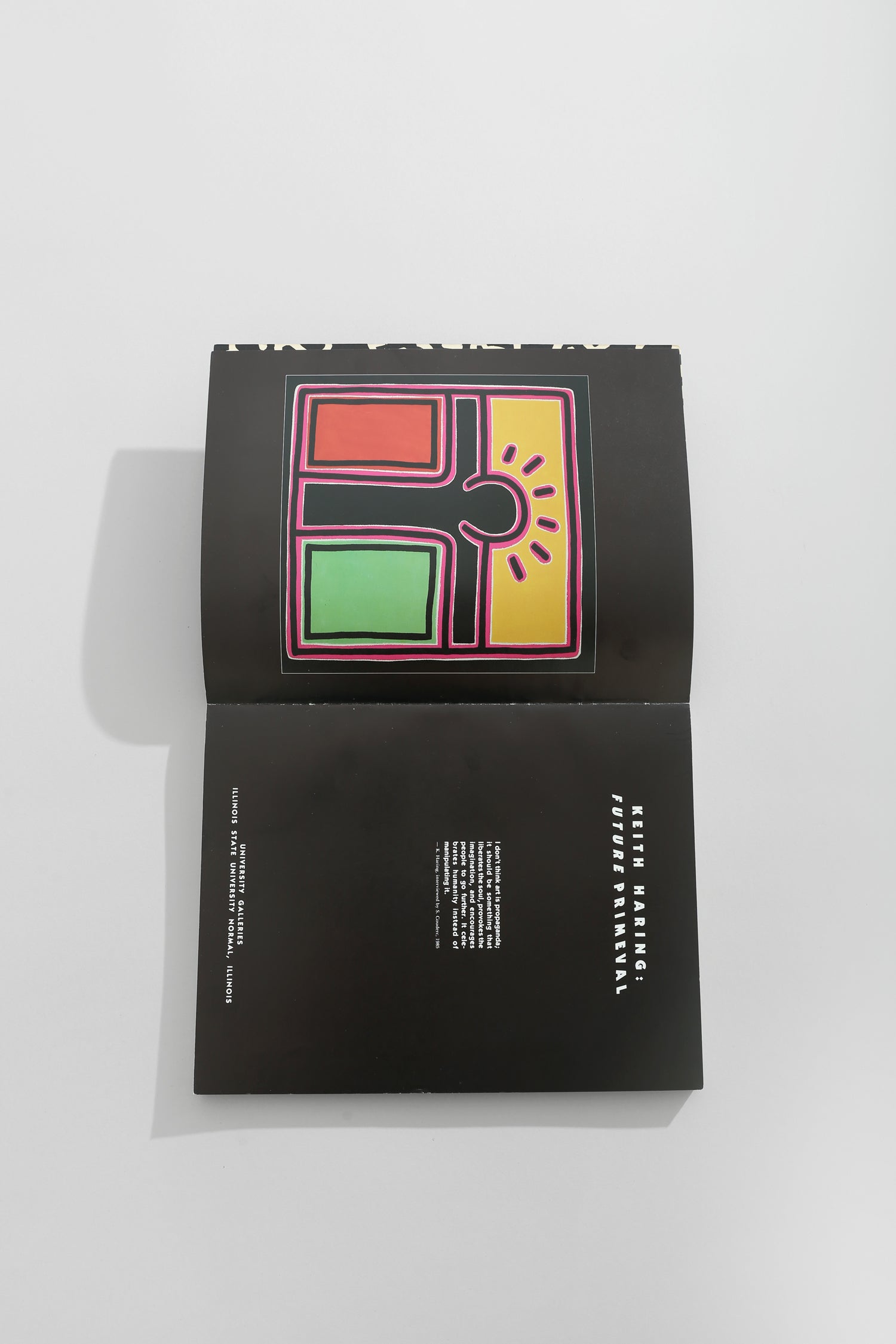 Keith Haring, Future Primeval Book