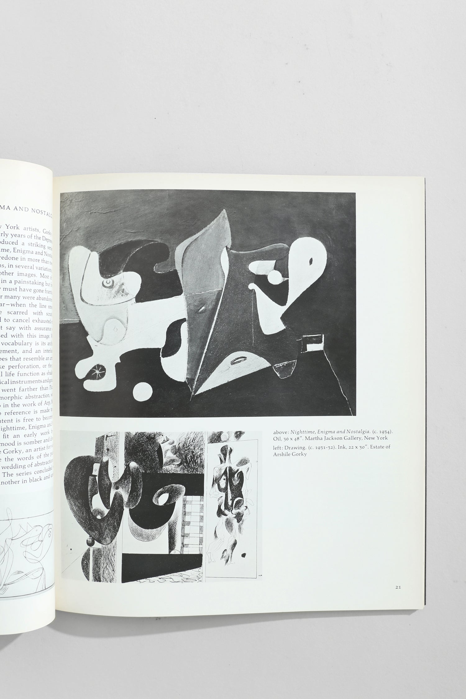 Arshile Gorky Book