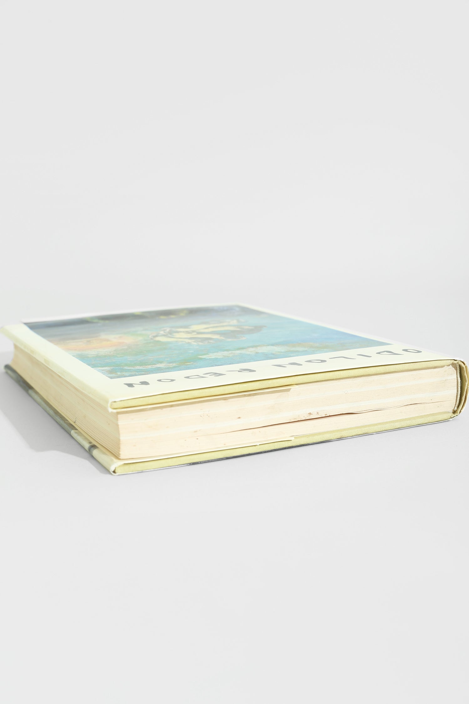 Odilon Redon Book