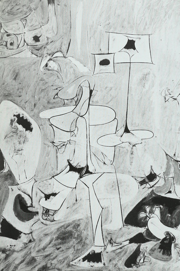 Arshile Gorky Book