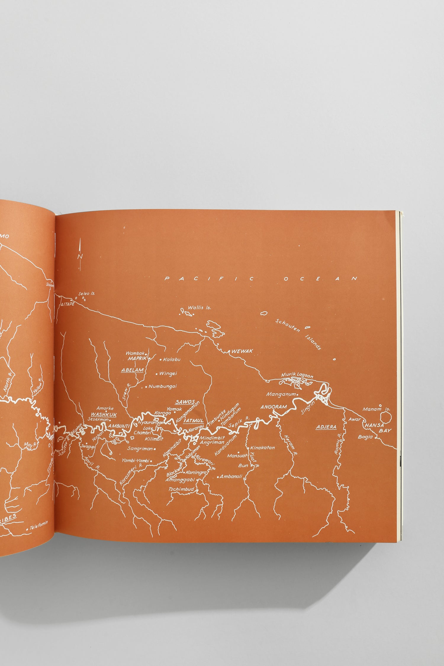 Oceanic Art Book