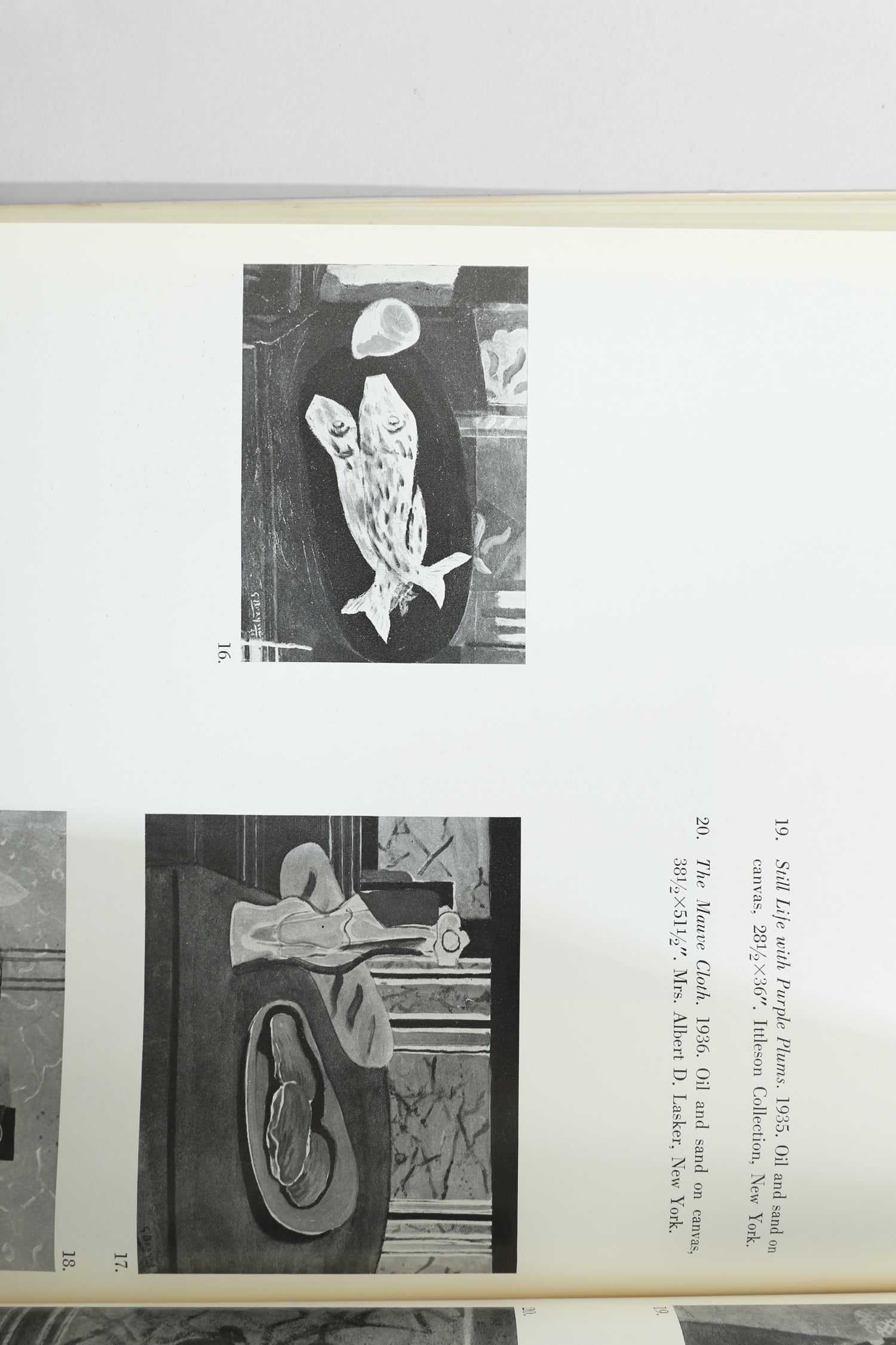 G Braque Book