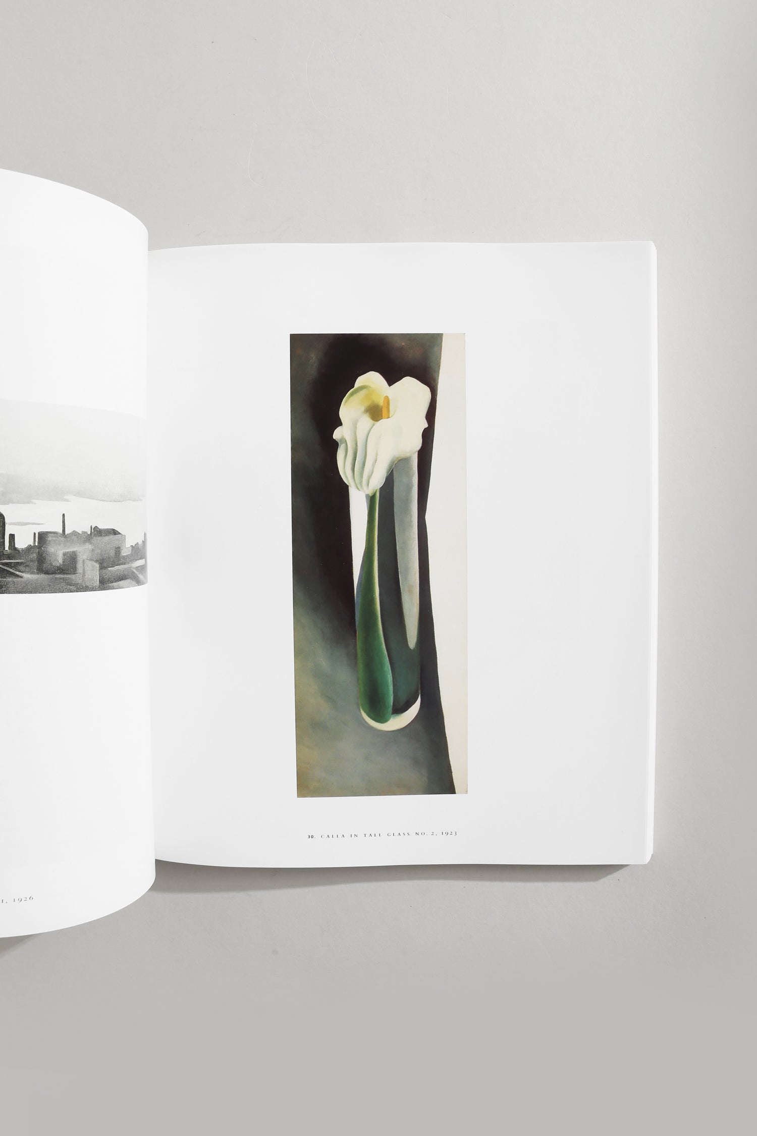 Georgia O’Keeffe Book