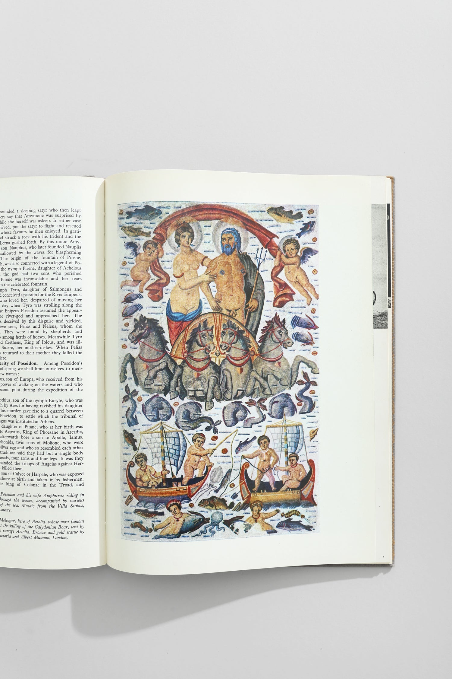 Greek Mythology Book