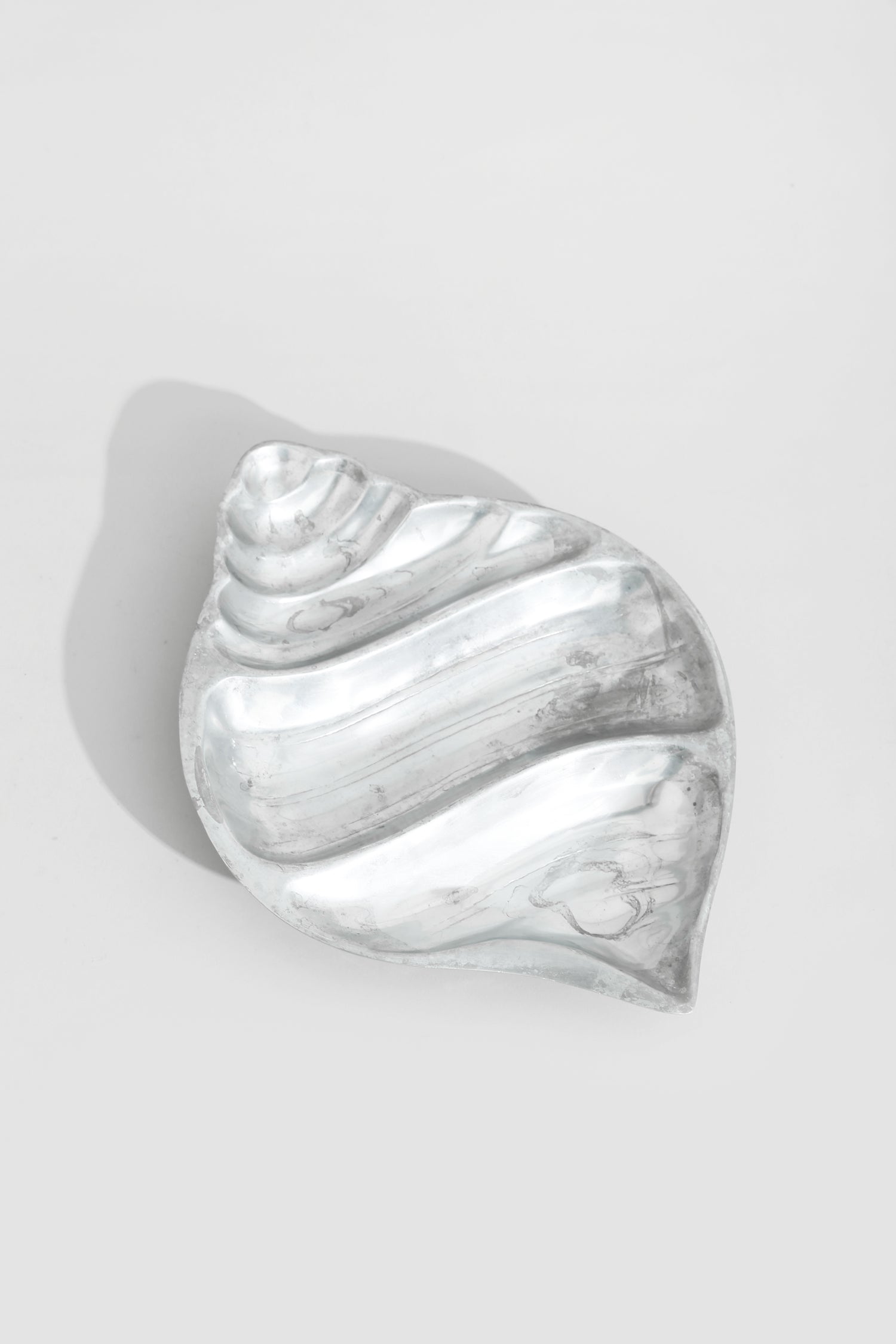 Seashell Dish