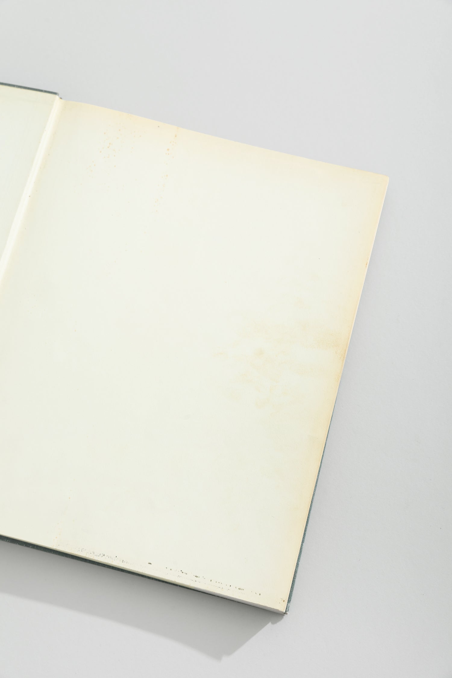 Degas Sculpture Book