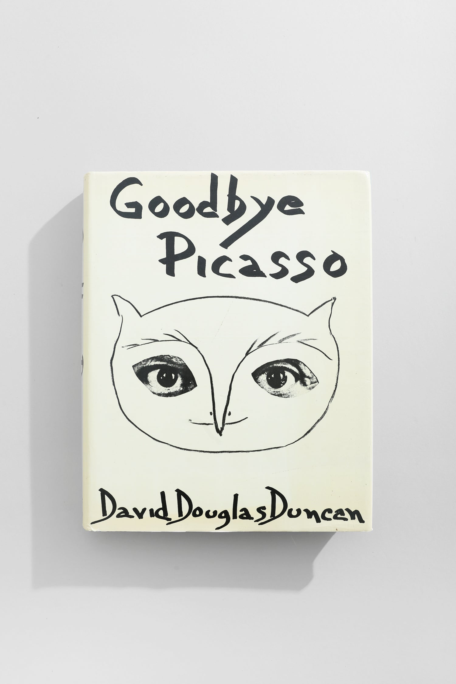 Goodbye Picasso Book