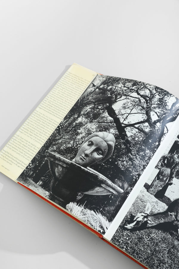 Goodbye Picasso Book