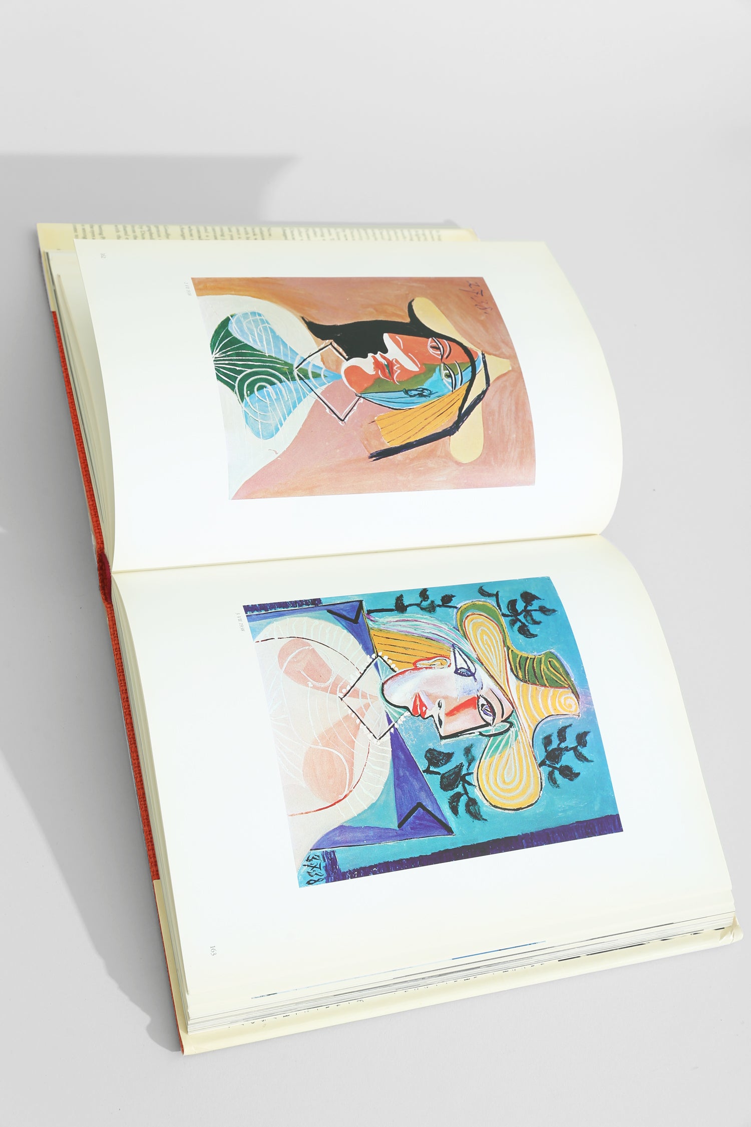 Goodbye Picasso Book
