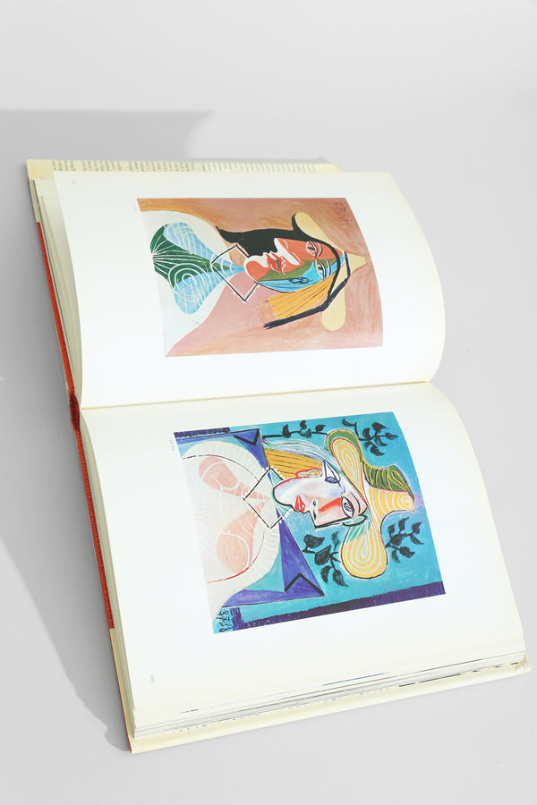 Goodbye Picasso Book