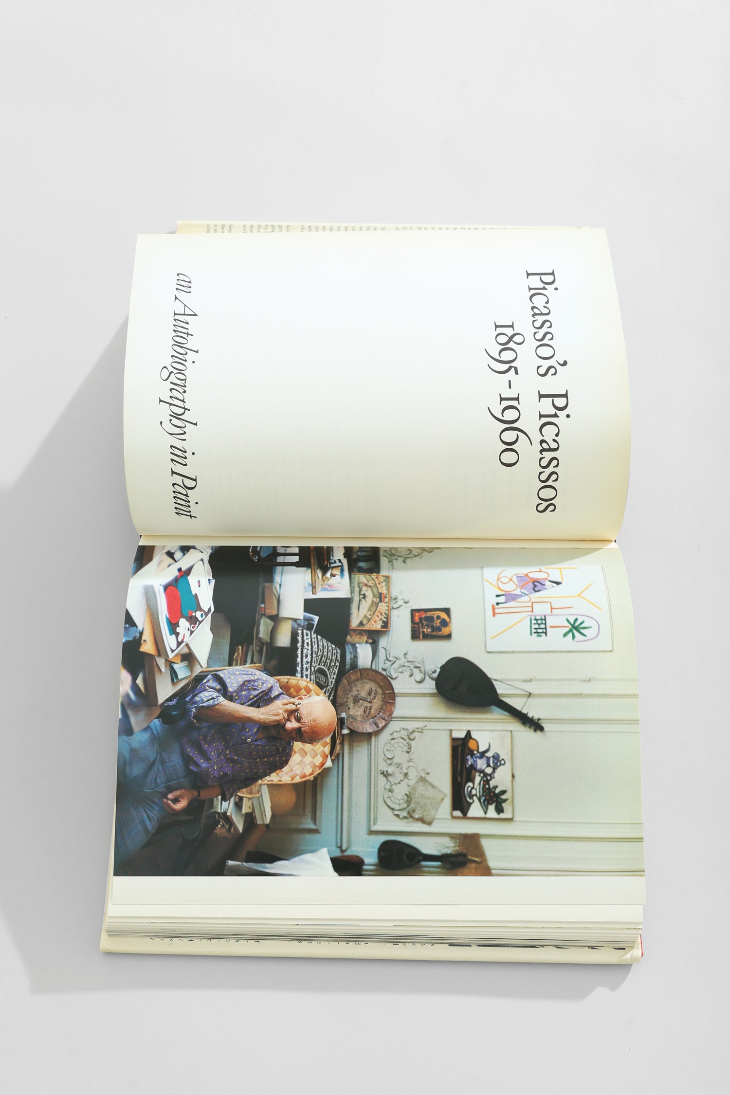 Goodbye Picasso Book