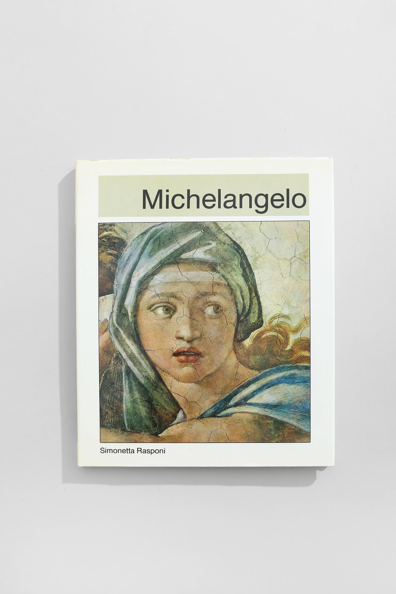 Michelangelo Book